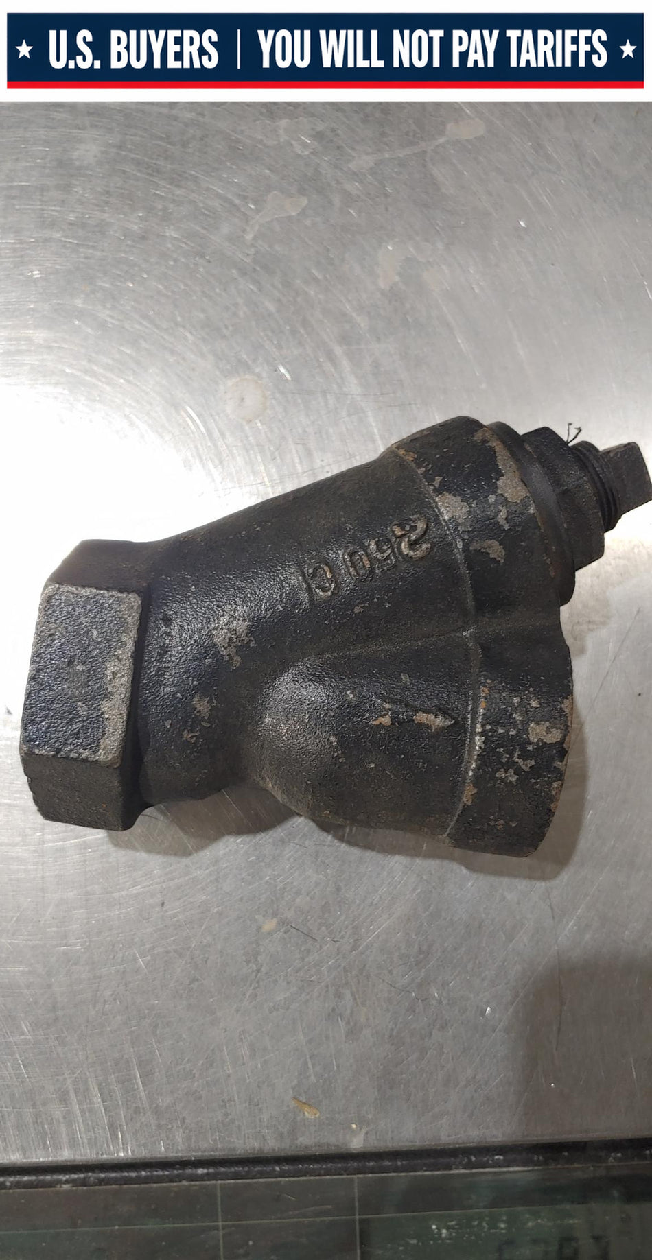 Colton Class 250 Cast Iron 'Y' Strainer 1-1/4" NPT With Mesh