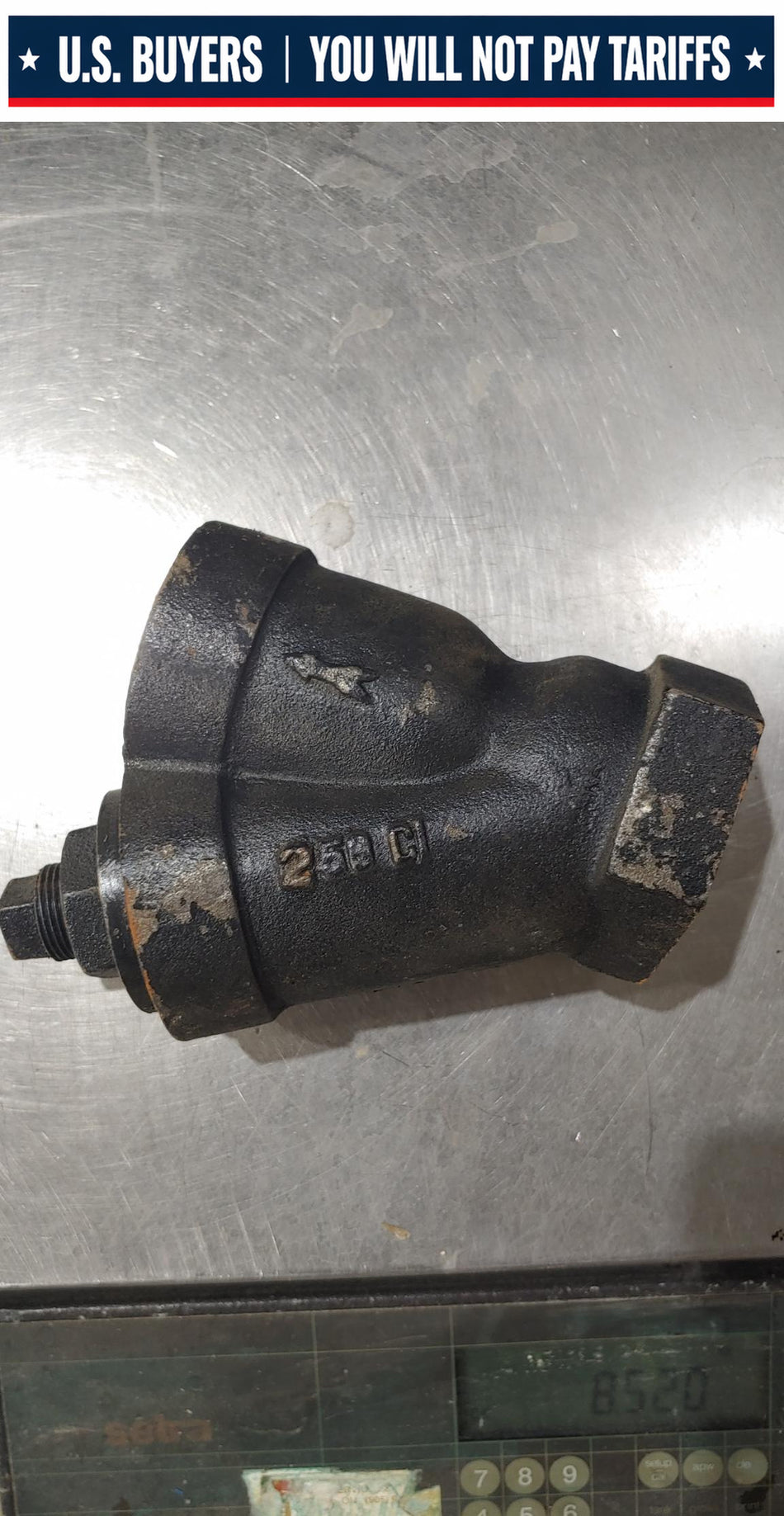 Colton Class 250 Cast Iron 'Y' Strainer 1-1/2" NPT With Mesh